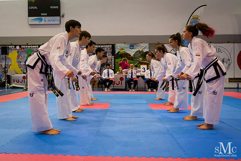 COPA SEUL, 2017  (260).JPG